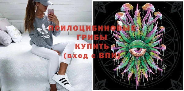 альфа пвп Горнозаводск